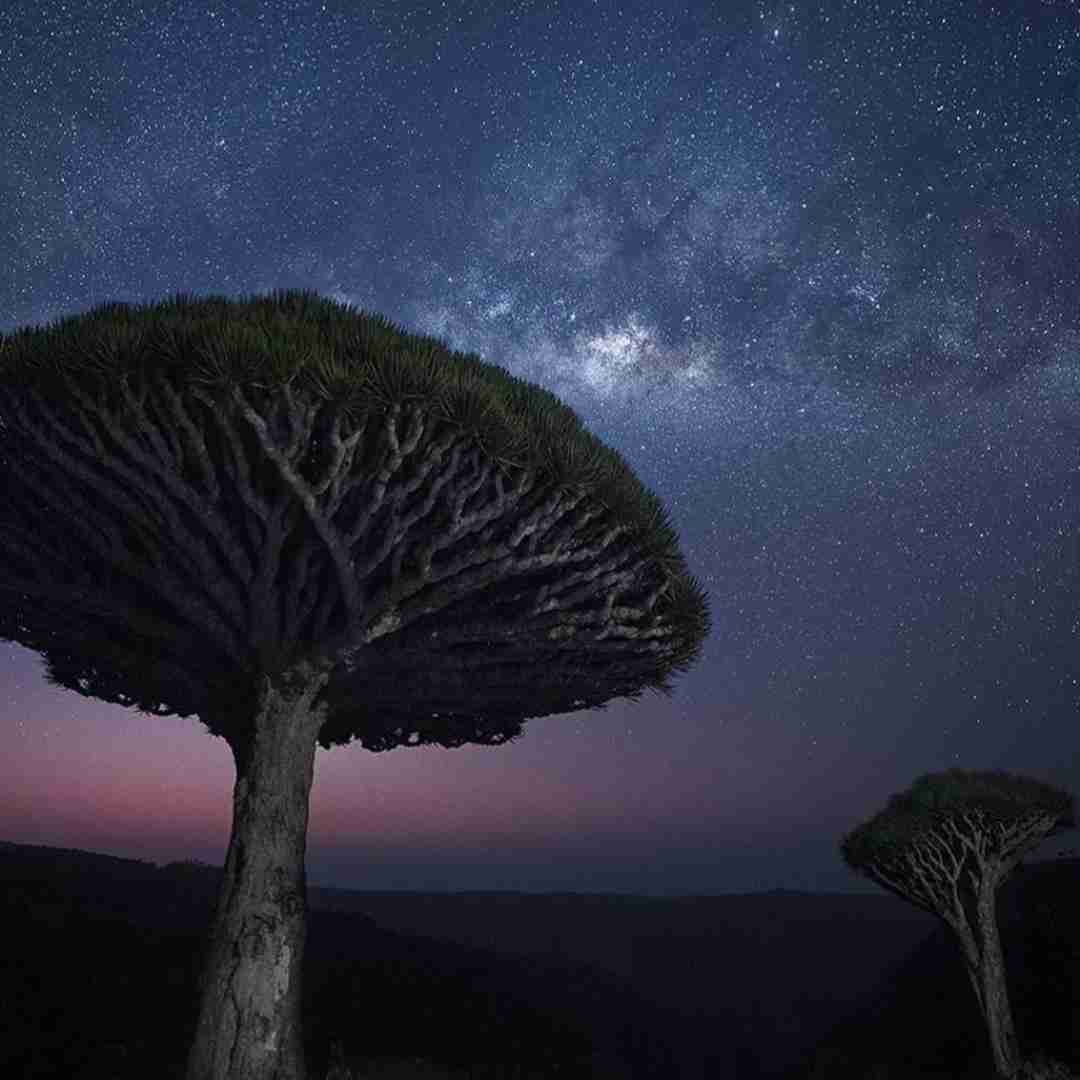 میگذرم از یه ایران بابتت