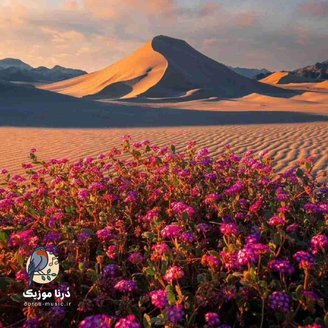  تلخیو میریم بالا قلپ سرم گیج بره میزنیم گلو