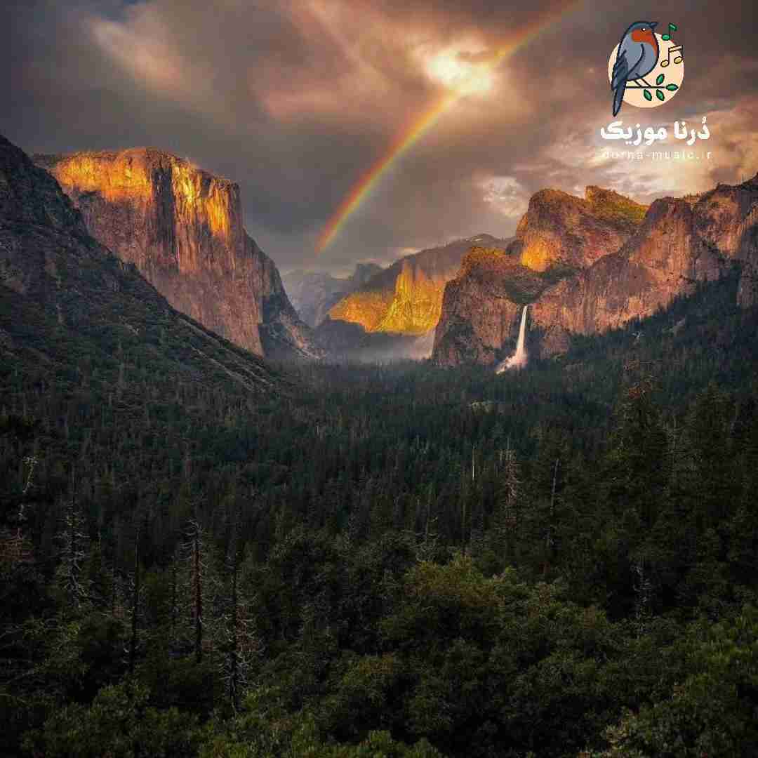  دست بیار به سمتم از کل دنیا دست میکشم