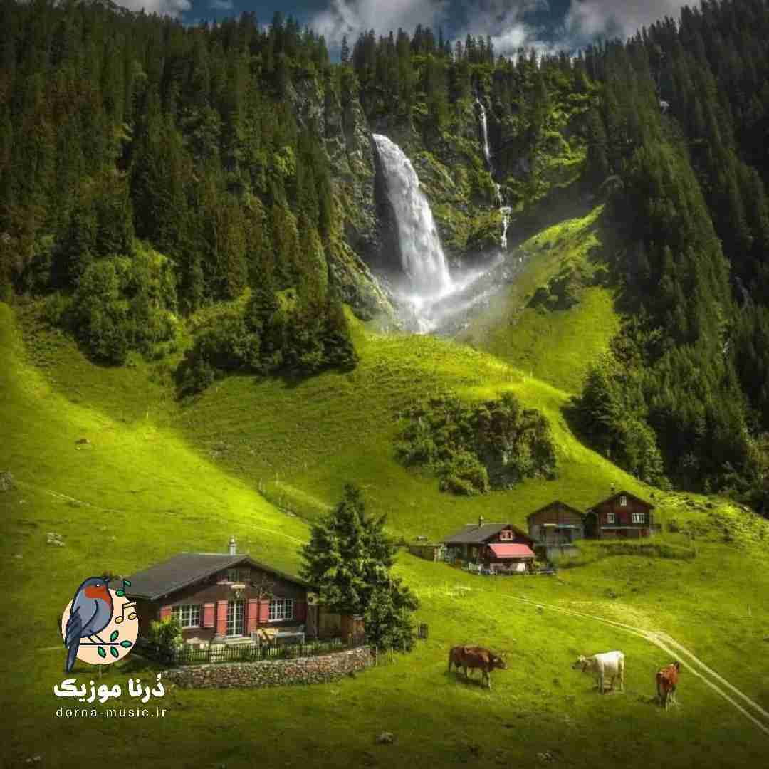  یکی یکی میچینم گلای خونه رو هوش مصنوعی
