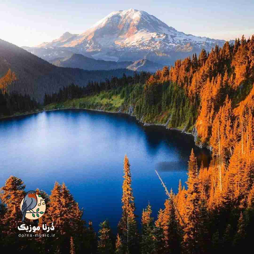 اعتماد میده ترس اعتماد میده جوز