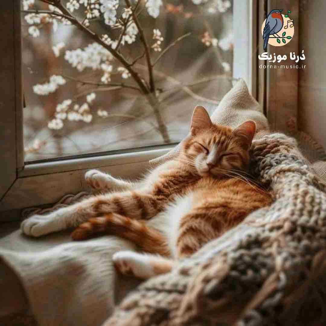 مال تو نیست نیستی میزنه با همه