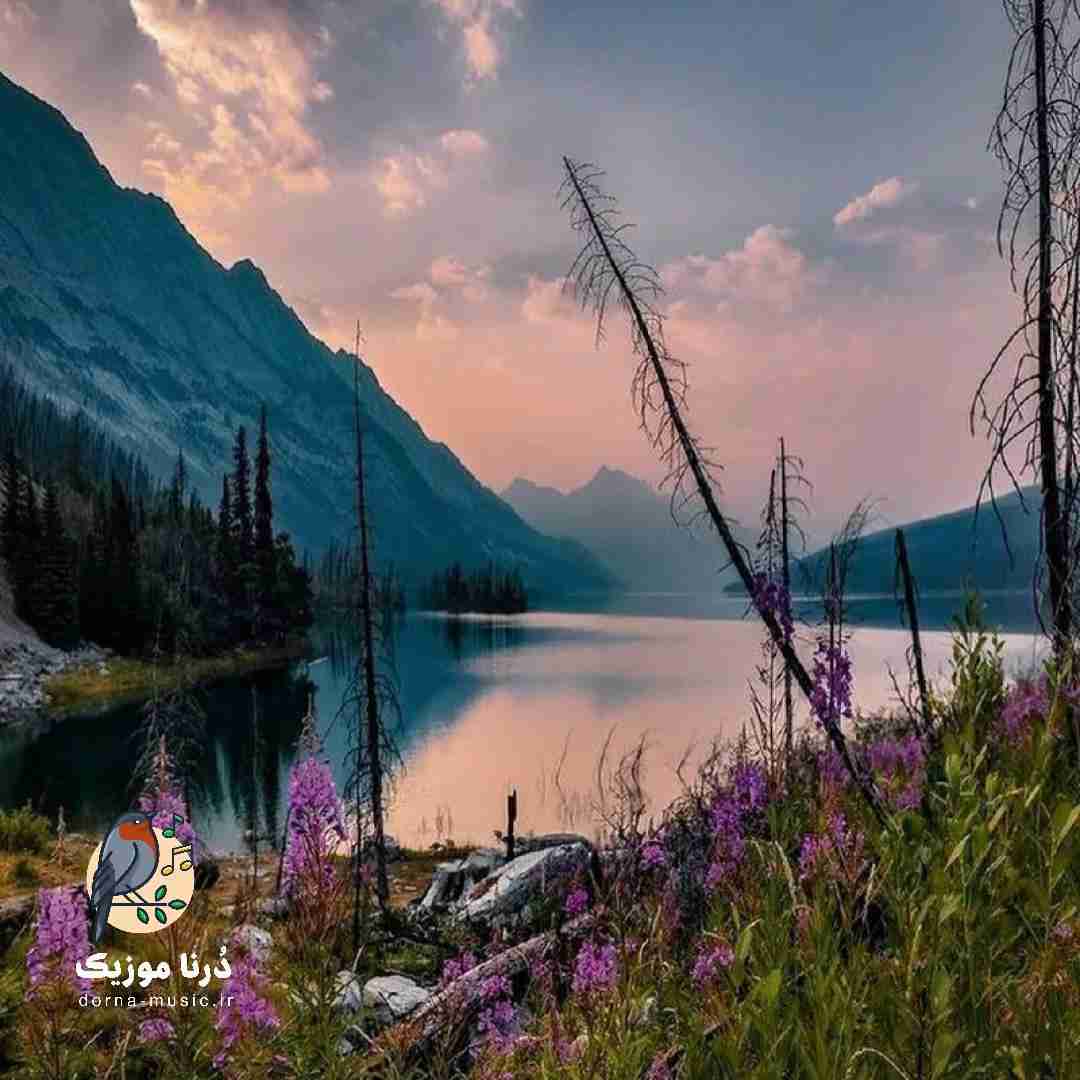 هیچ خدایی پسر مواظب ما نی واسه همین معروفم