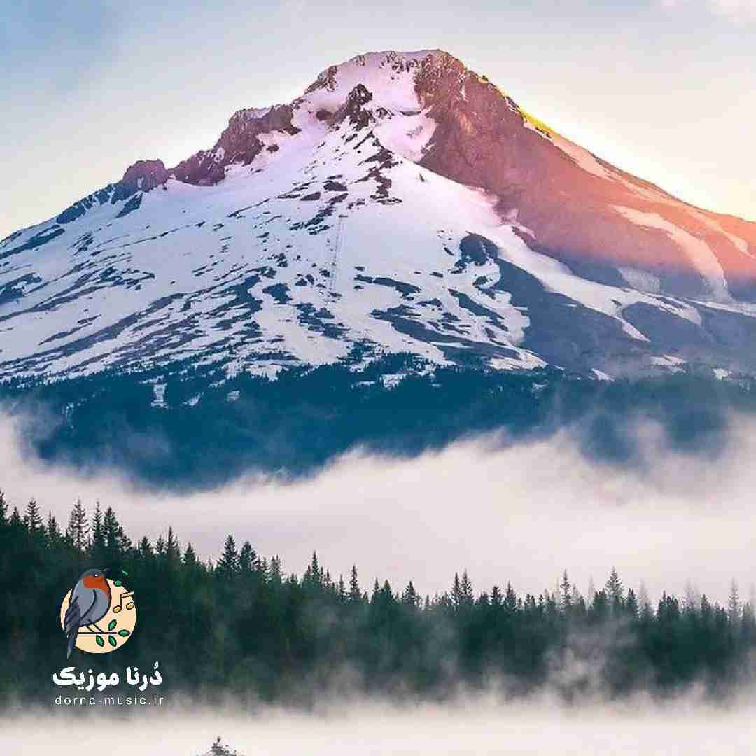 تو از اونایی که نباید یه روز میخوری همرو ترک کردم