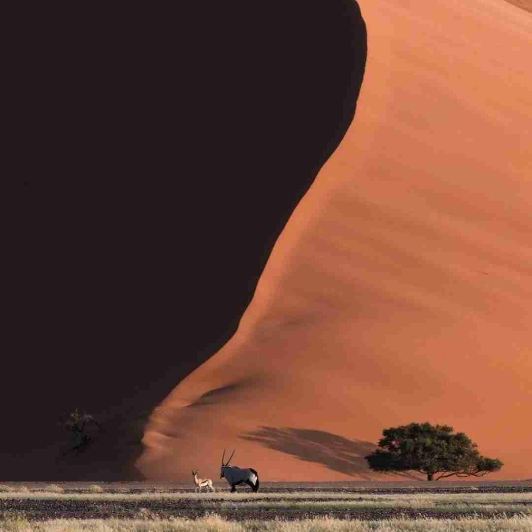 شبامون روشن هلالیه ماه همه جا سکوته
