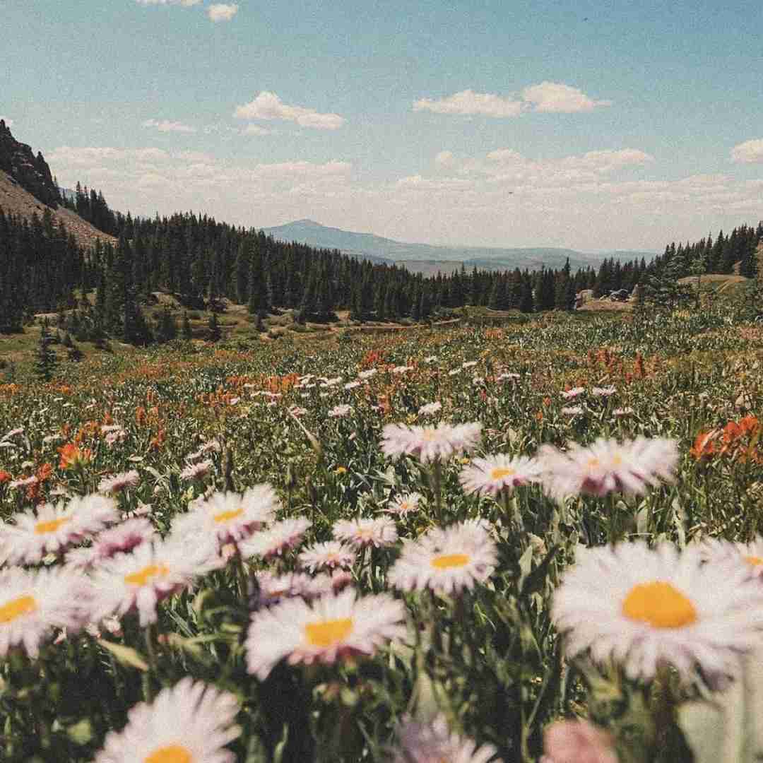  روزا تکراری تو هیچ گمم من این نبودم این شدم
