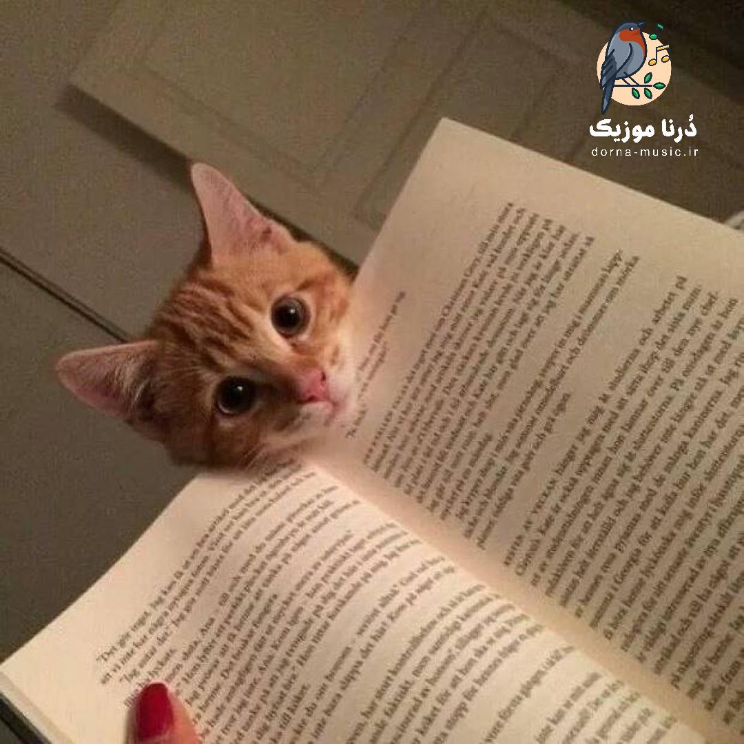 بیا فکر کن الان دهه هشتاده مثلا یه روز برفی