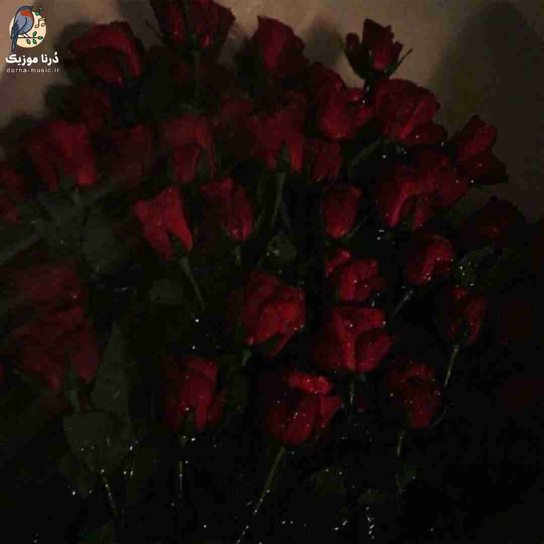 بین منو خودت دیوار میکشی بعد میگی با صدای زن