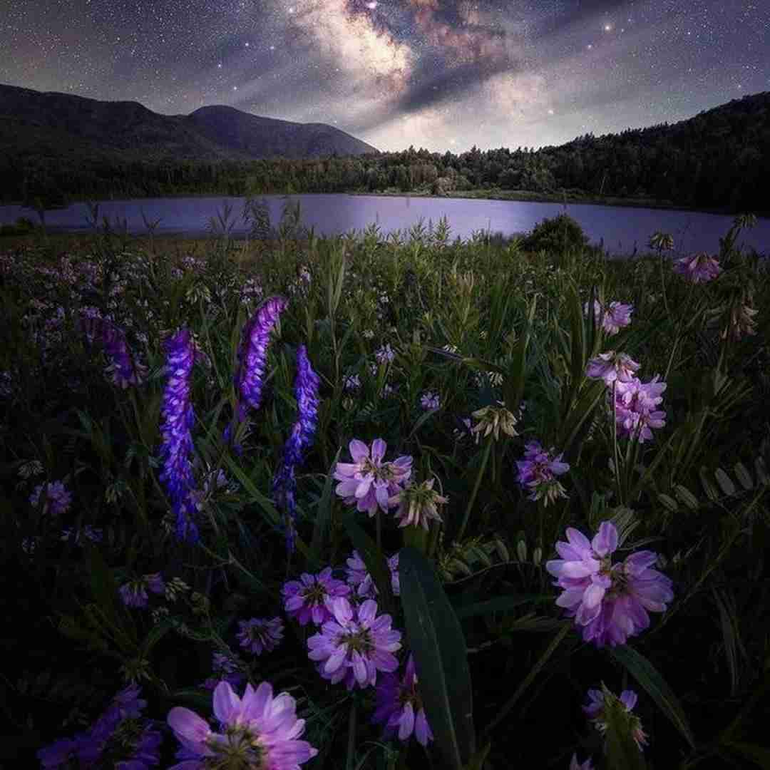  اینکه هنو تو فکرشم زشت نی خدایی