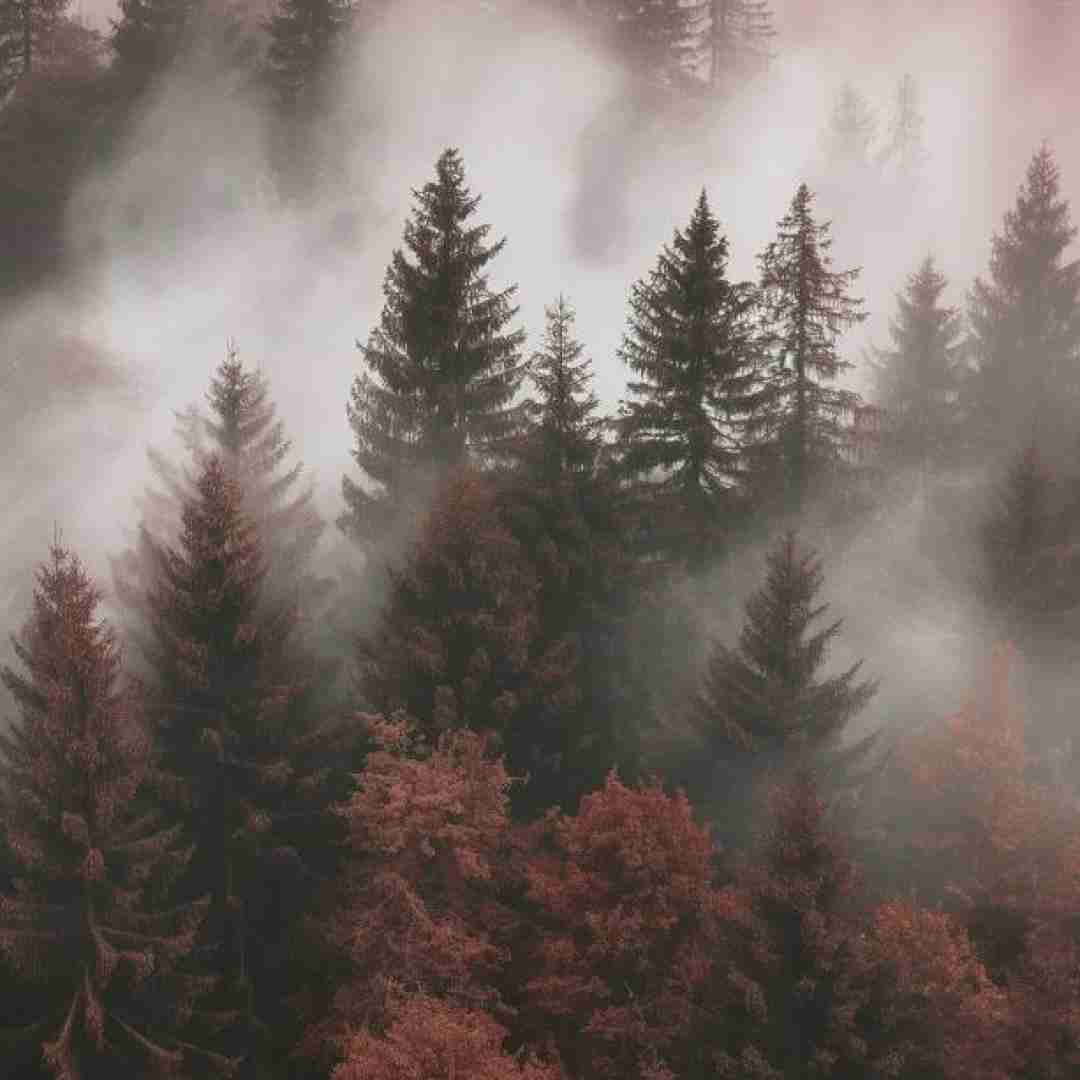 حالا همه میایم وسط سلبایی میریم خیلی قشنگ