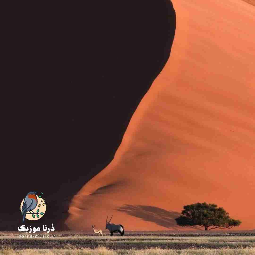  چشای تو منو نجات میداد الان چشات کسی به جات نی