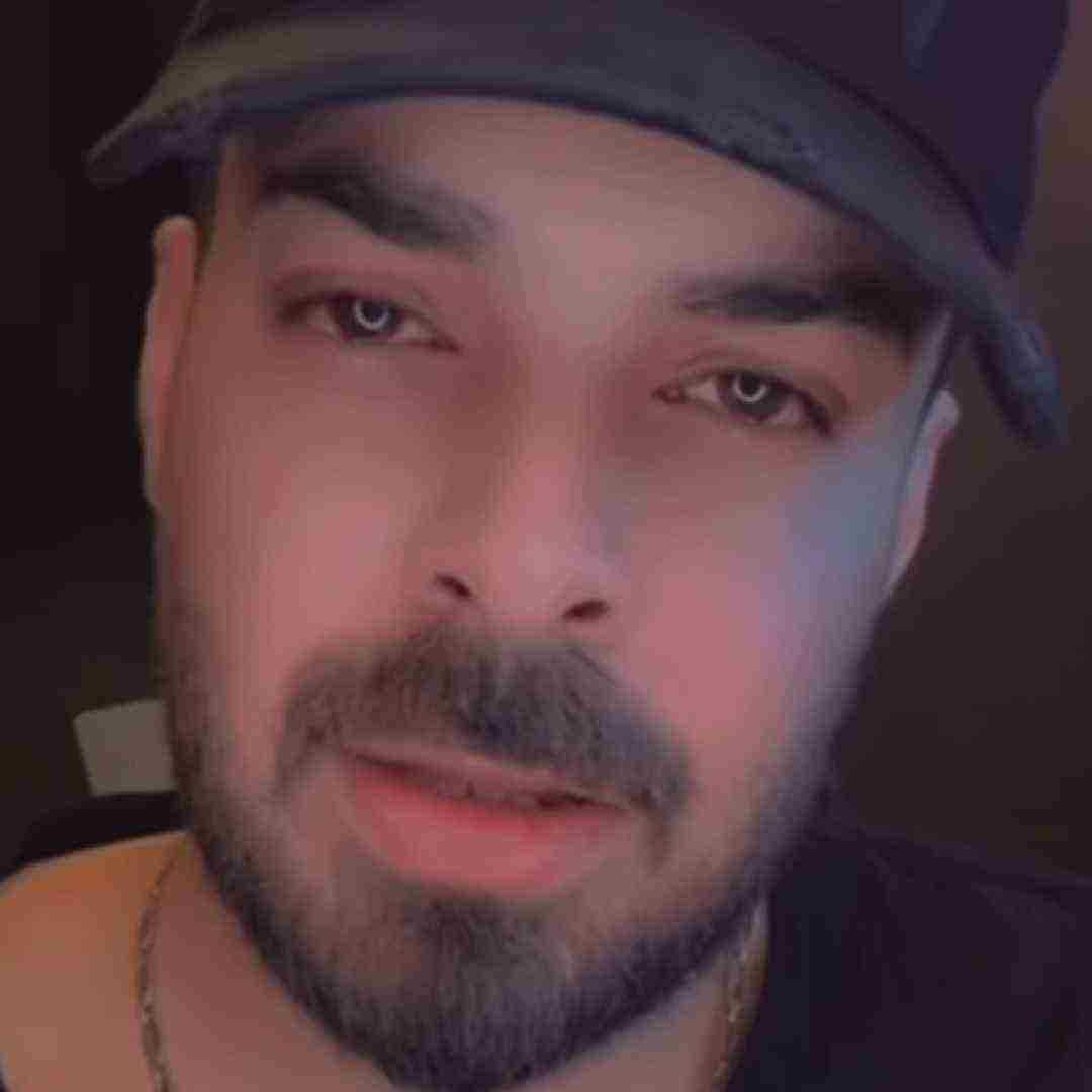 شاهان مثل تو
