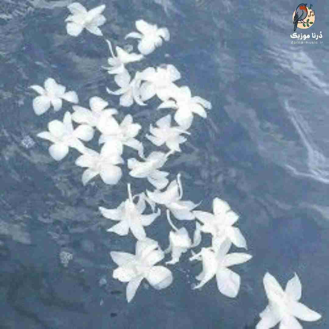 من قلبم برات میدرخشه چپ سینم ولی تو