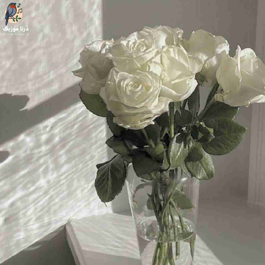 واسه ی چشمای ماهت توی شب تاریکم