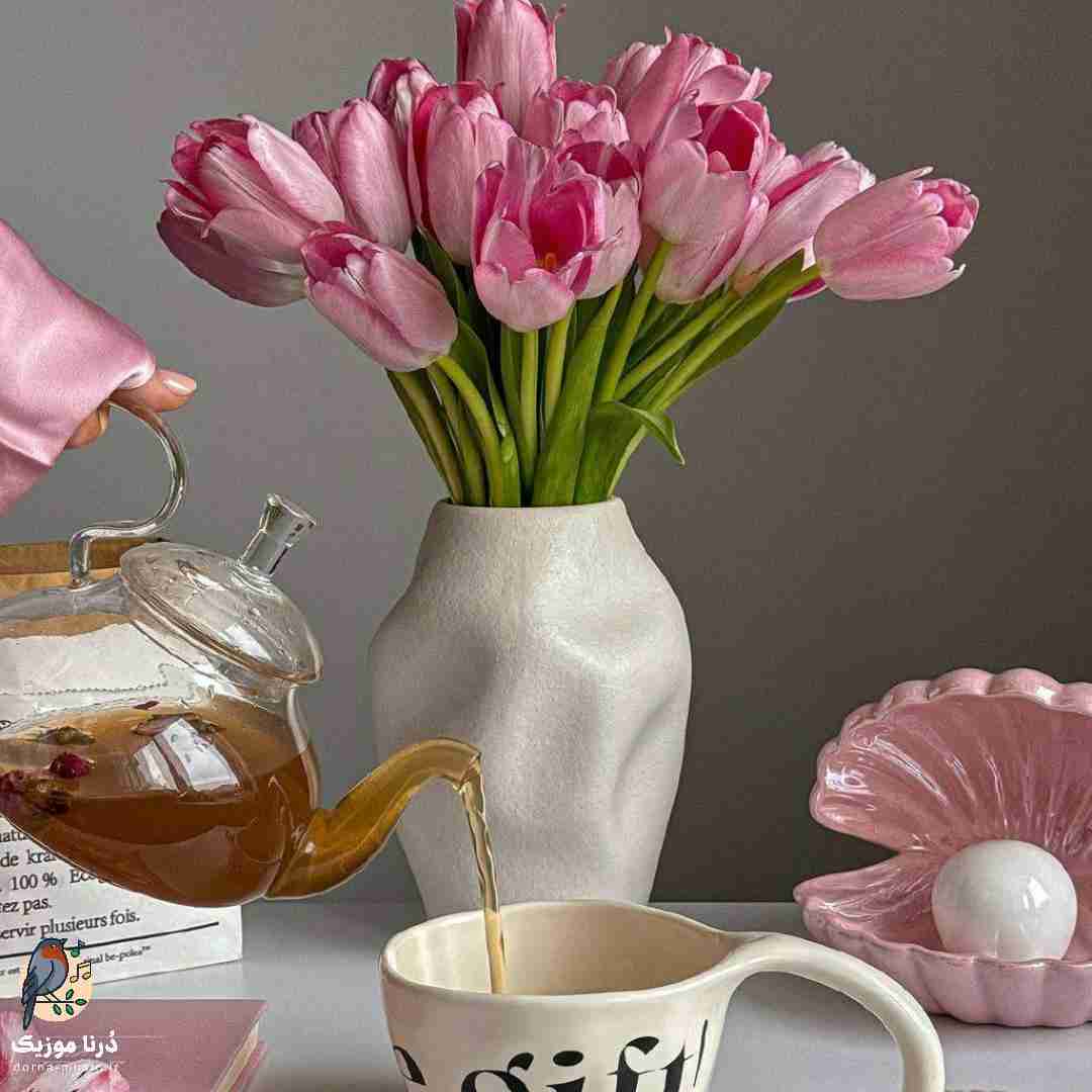 توام برا همه فرشته بودی بیبی ولی برا من