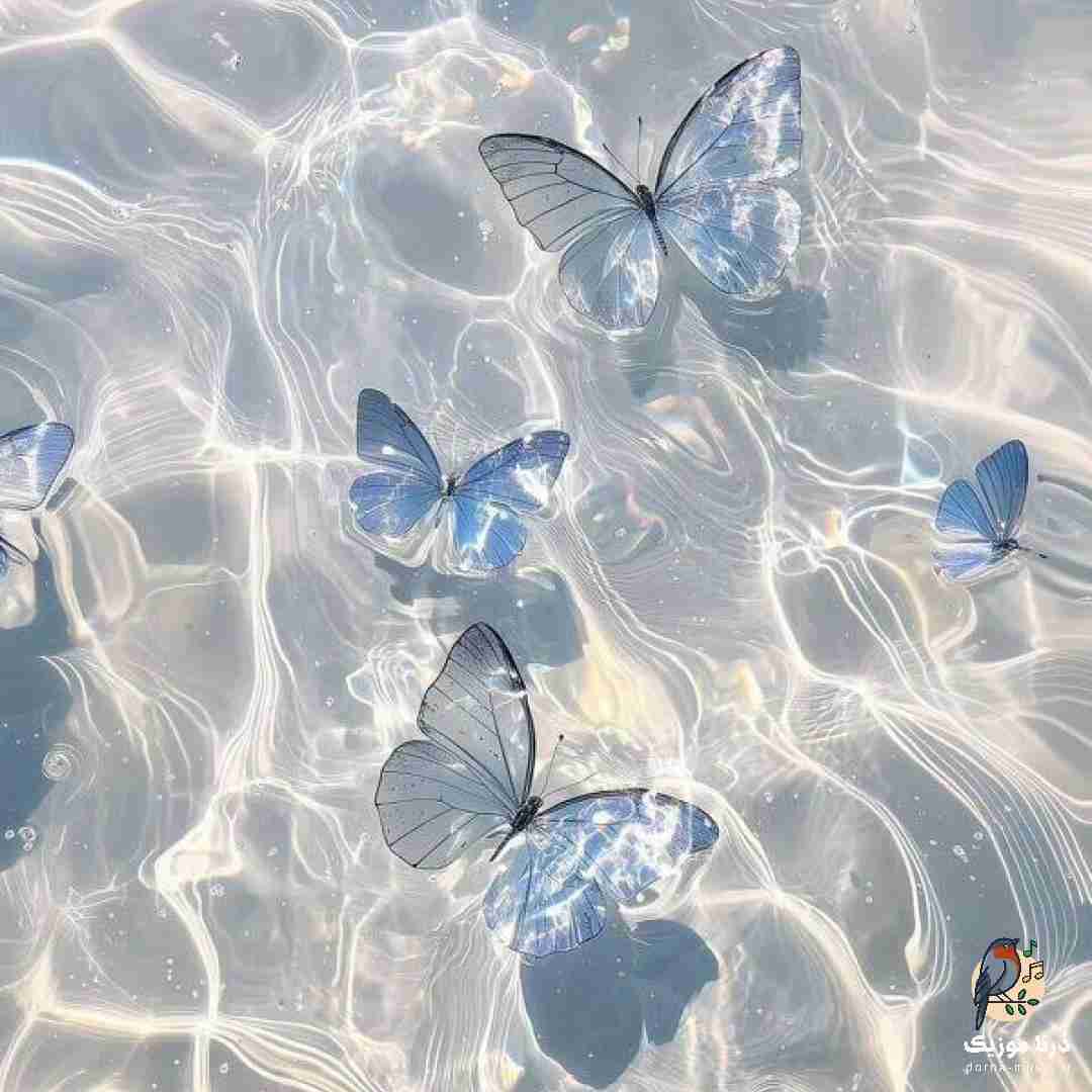 من صبرم سر اومده دلتنگم هنوزم در به در میرم (میکس اینستایی)