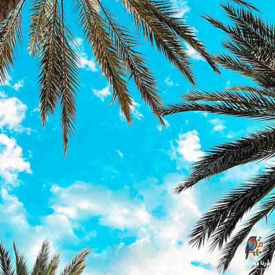 گریه کردم با چشم باز دوتا تی هیچ موقع نکرد