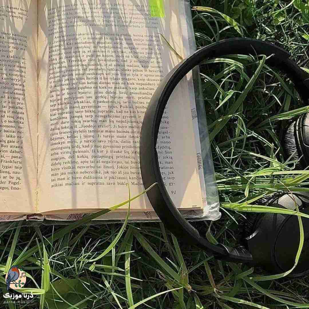 تو که نیستی کنار من هوای شهر دلگیره