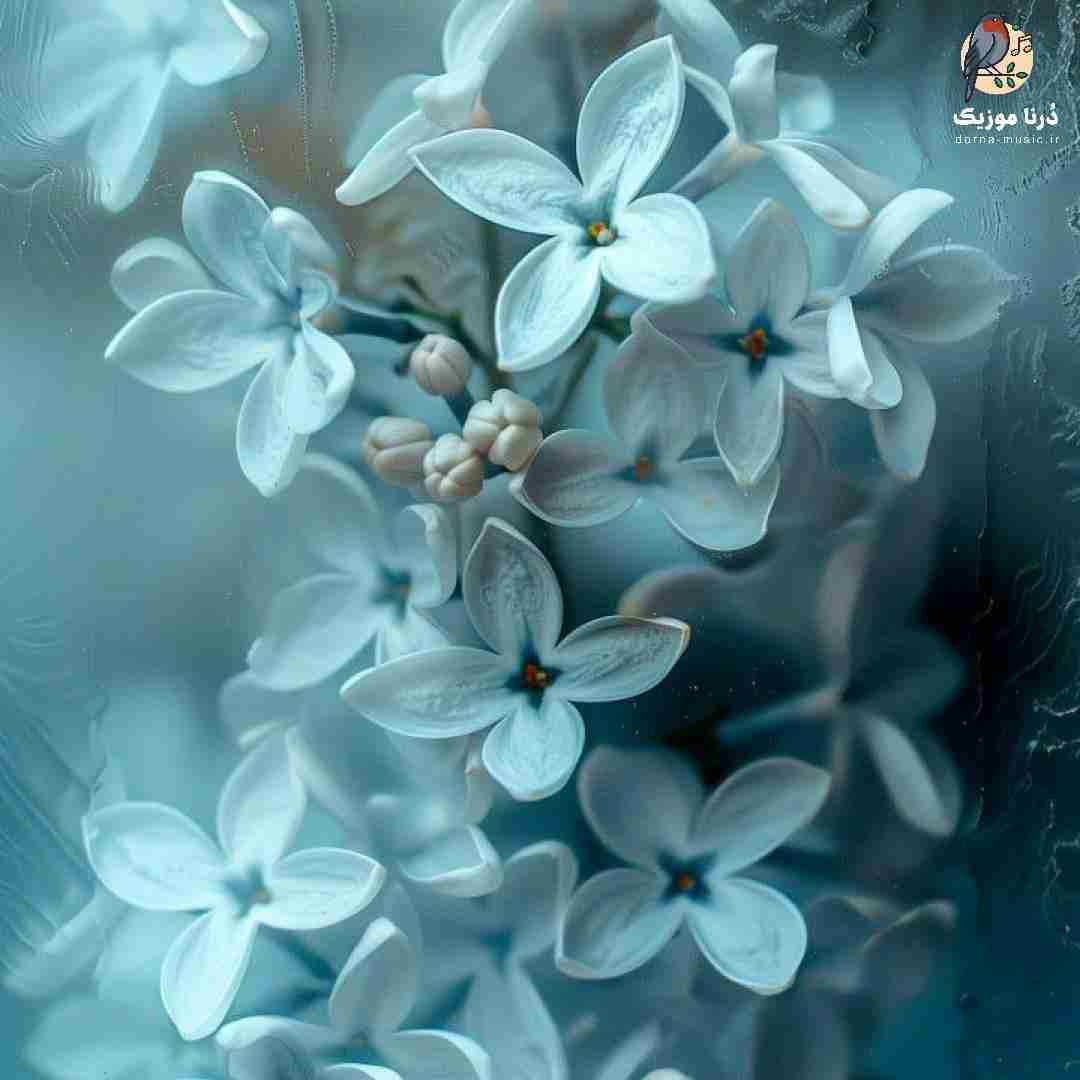 راهی نی برگردی تو دیگه دیره کلی بهم زخم زدی