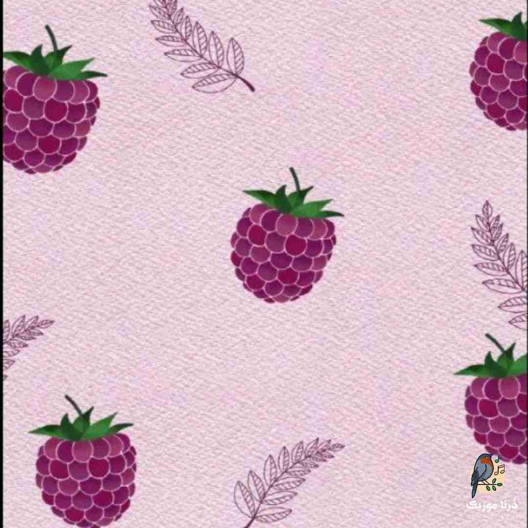  تو که چشمات دیگه سویی نداره طاقت دیدن دوری نداره