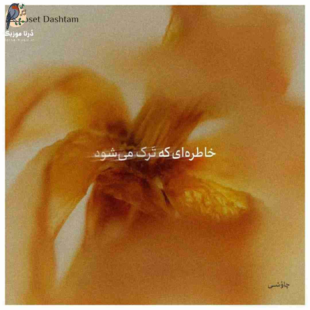 محسن چاوشی دوست داشتم