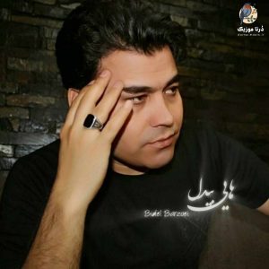 هایی بیدل از بیدل برزویی