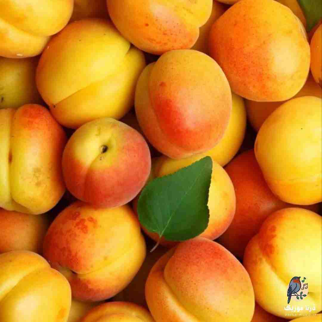 کار هر کسی نیست کنار من بودن چی میشد دنیا
