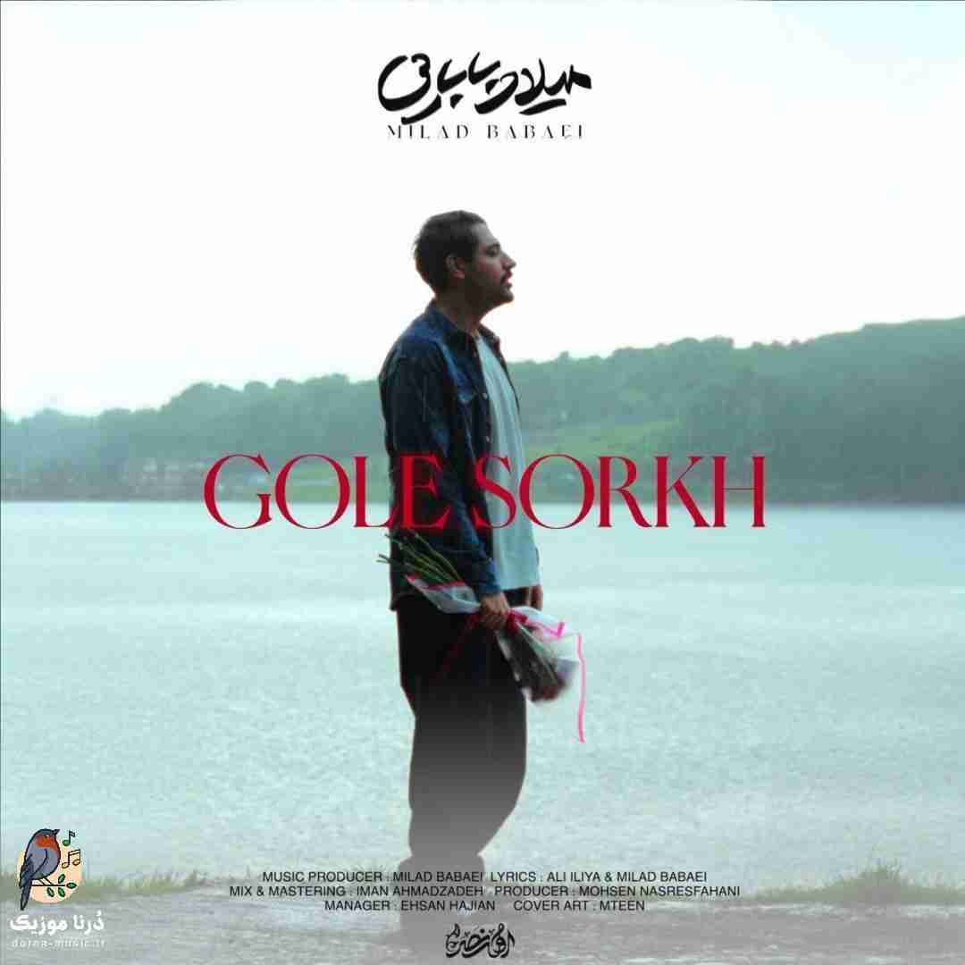 میلاد بابایی گل سرخ
