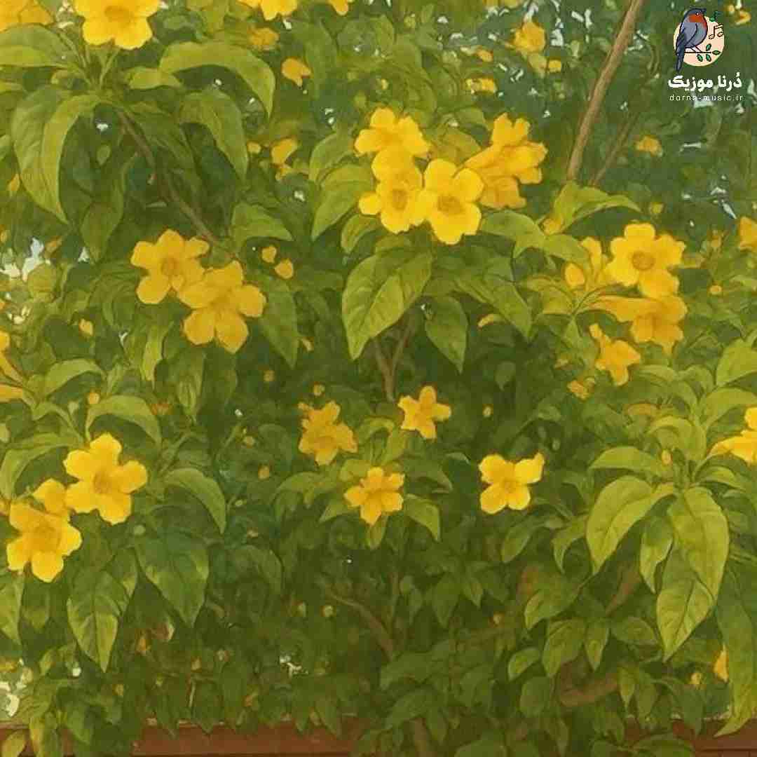  چشاش لاولیه رفتاراش تاکسیک تا کی باید