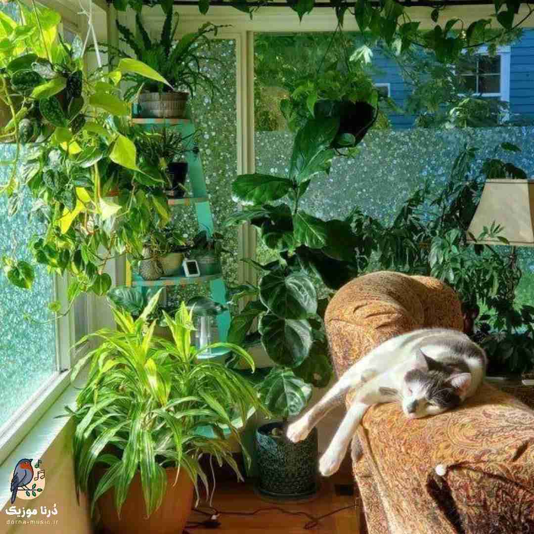 هی رفیقم دوچرخه خریده میگم بریم میگه دو ترکه نه