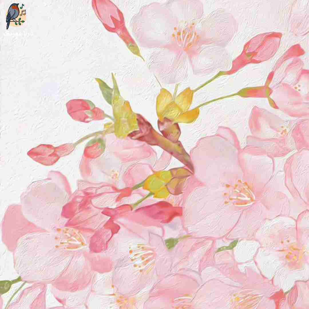 مامان واسه چیزی نمیجنگم هنوز آرزو میکنم