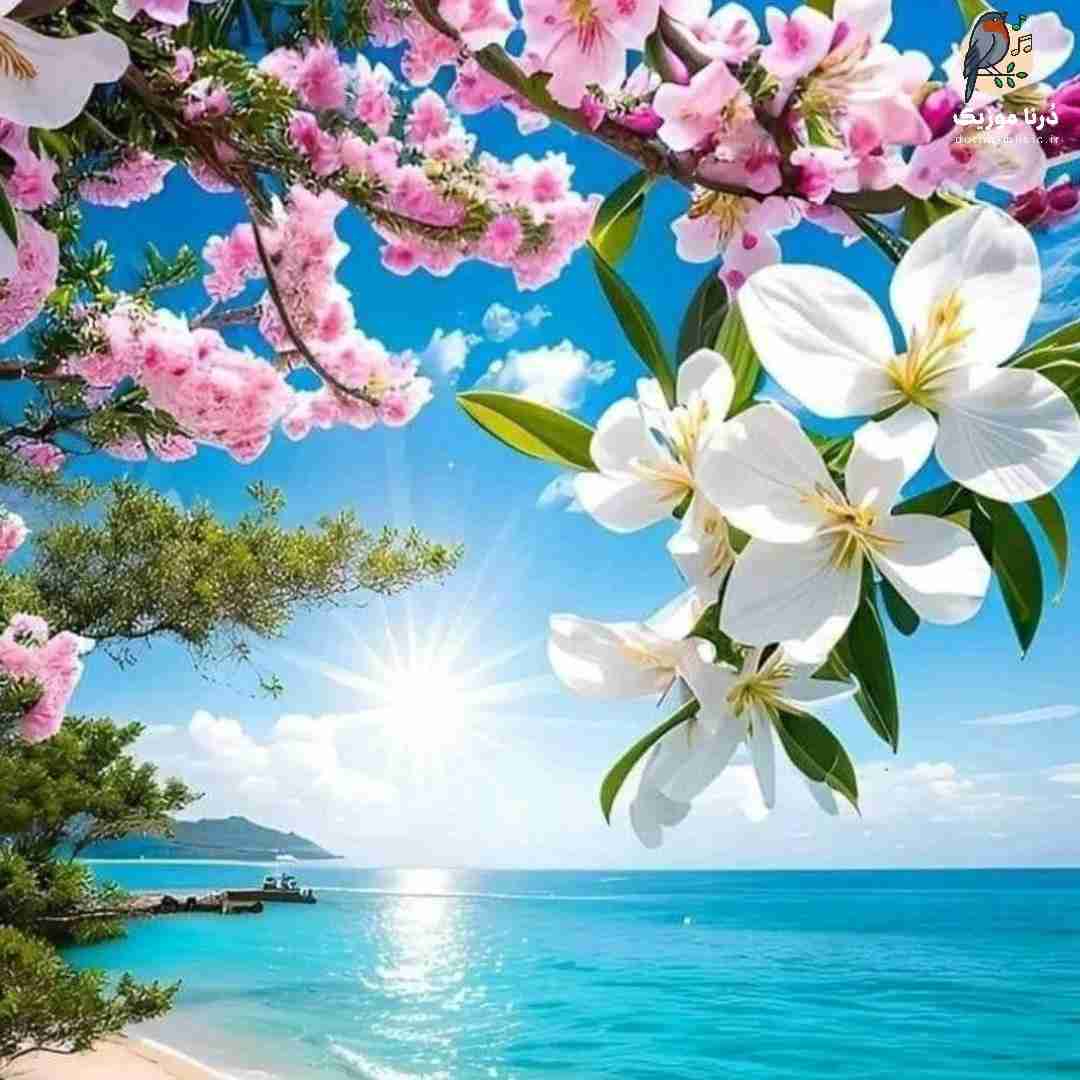 تو شب سرد کلانشهر برف انبوه بسته بود ارتباط راهو