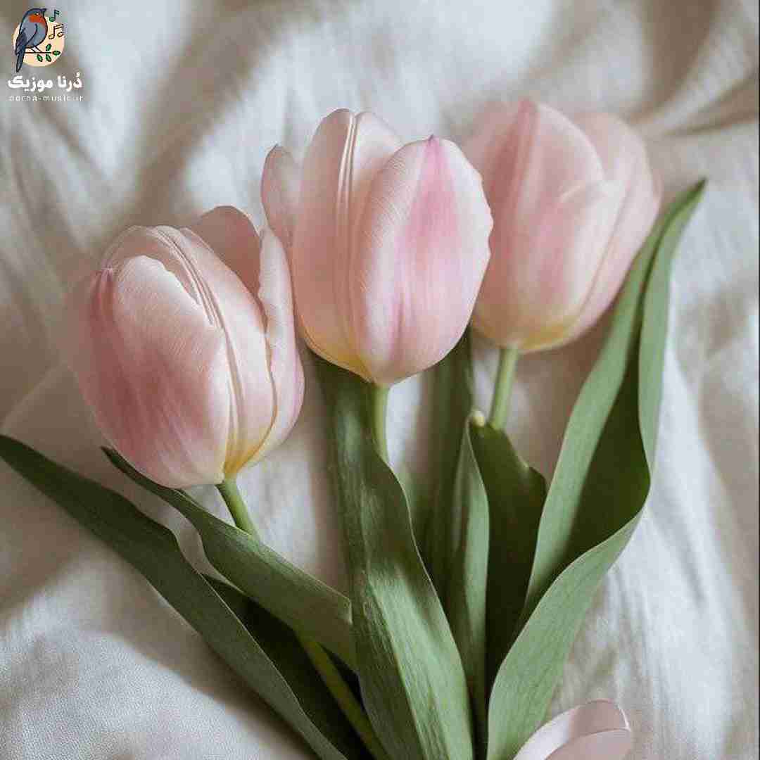 یه اشتباه خوب کردم که صدای شعرم با ریتم قلبم
