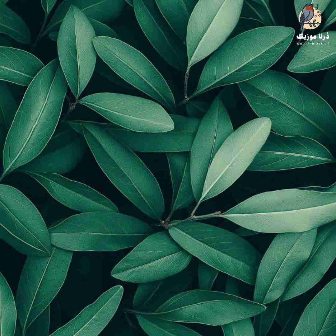 چیکار کردی بام دیگه حسی ندارم مثل بارسلونام که دیگه توش