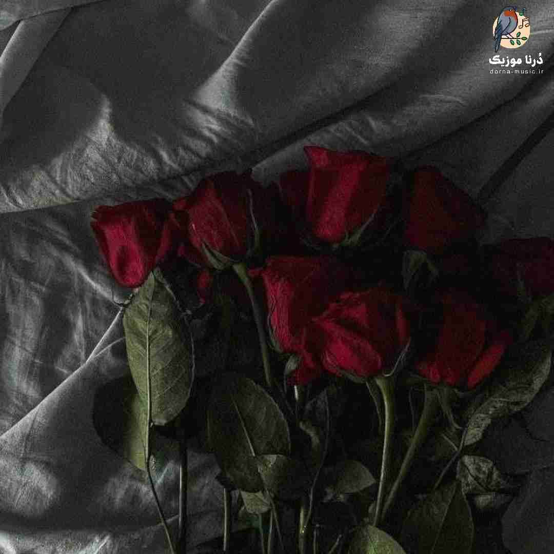  مگه میشه برم از یادت میگفتی میمیرم من اگه نباشم