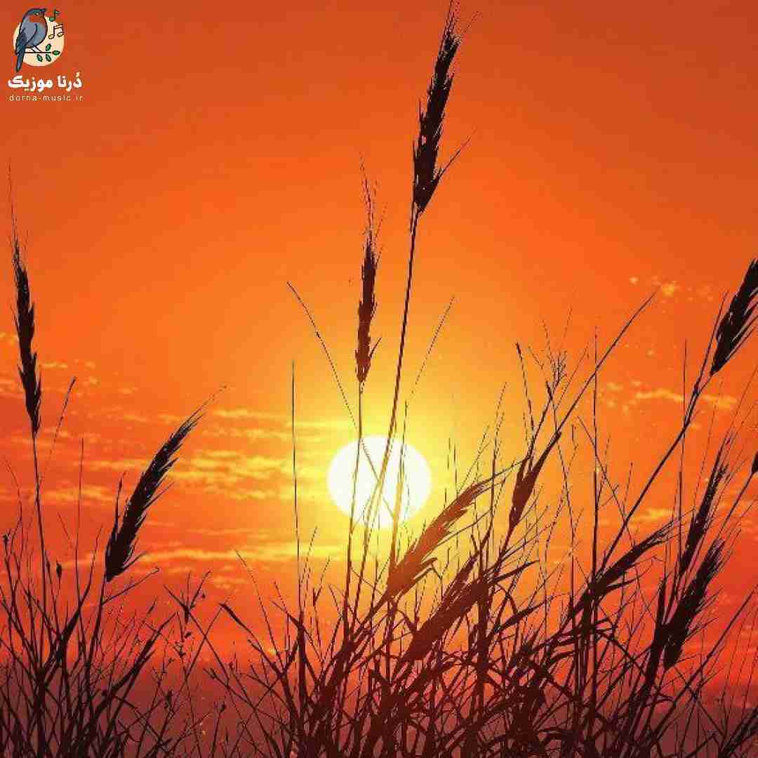  گفتم تو زیبایی قد ساغرم من با تو ساخته شدم
