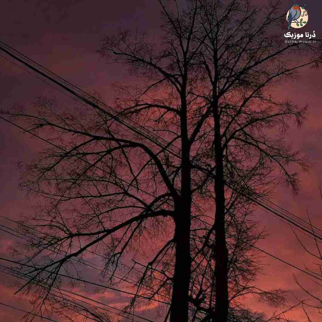  هربار گلوله کرد امیدو رنگ خون میخورم به پوچ
