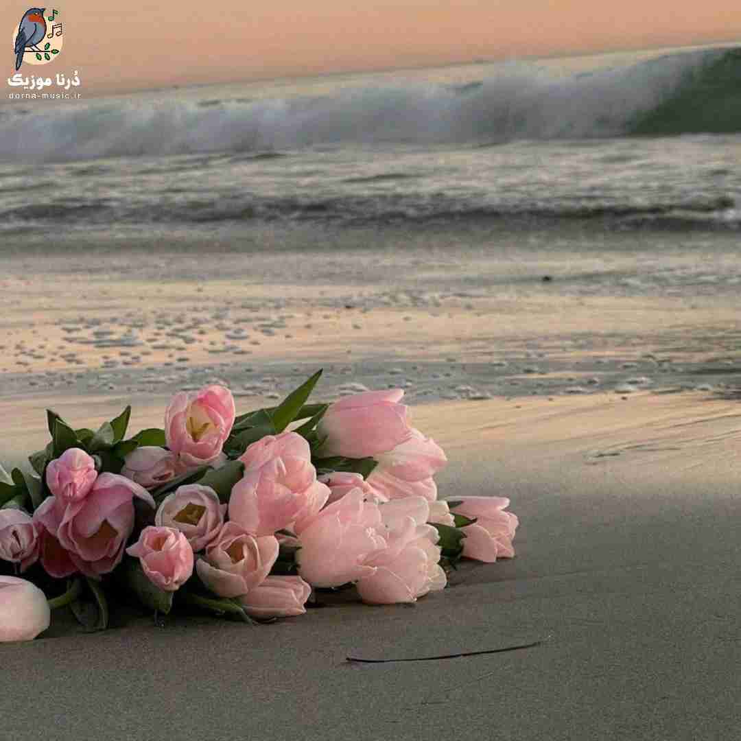  که تو از تنهاییو این حالت افسرده درای ولی میدونی