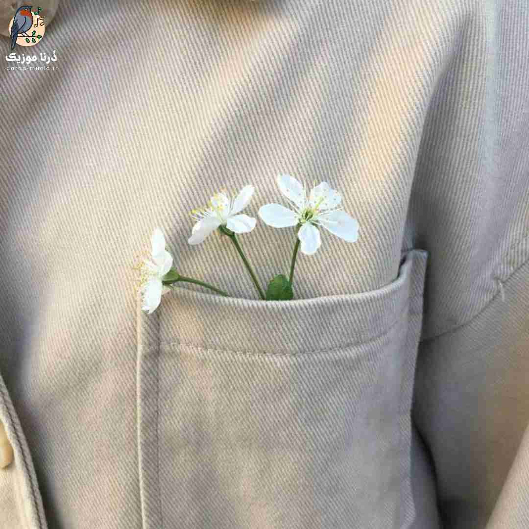  کاتانا چیریکی کت ها باز سی دی ای سوزوکی