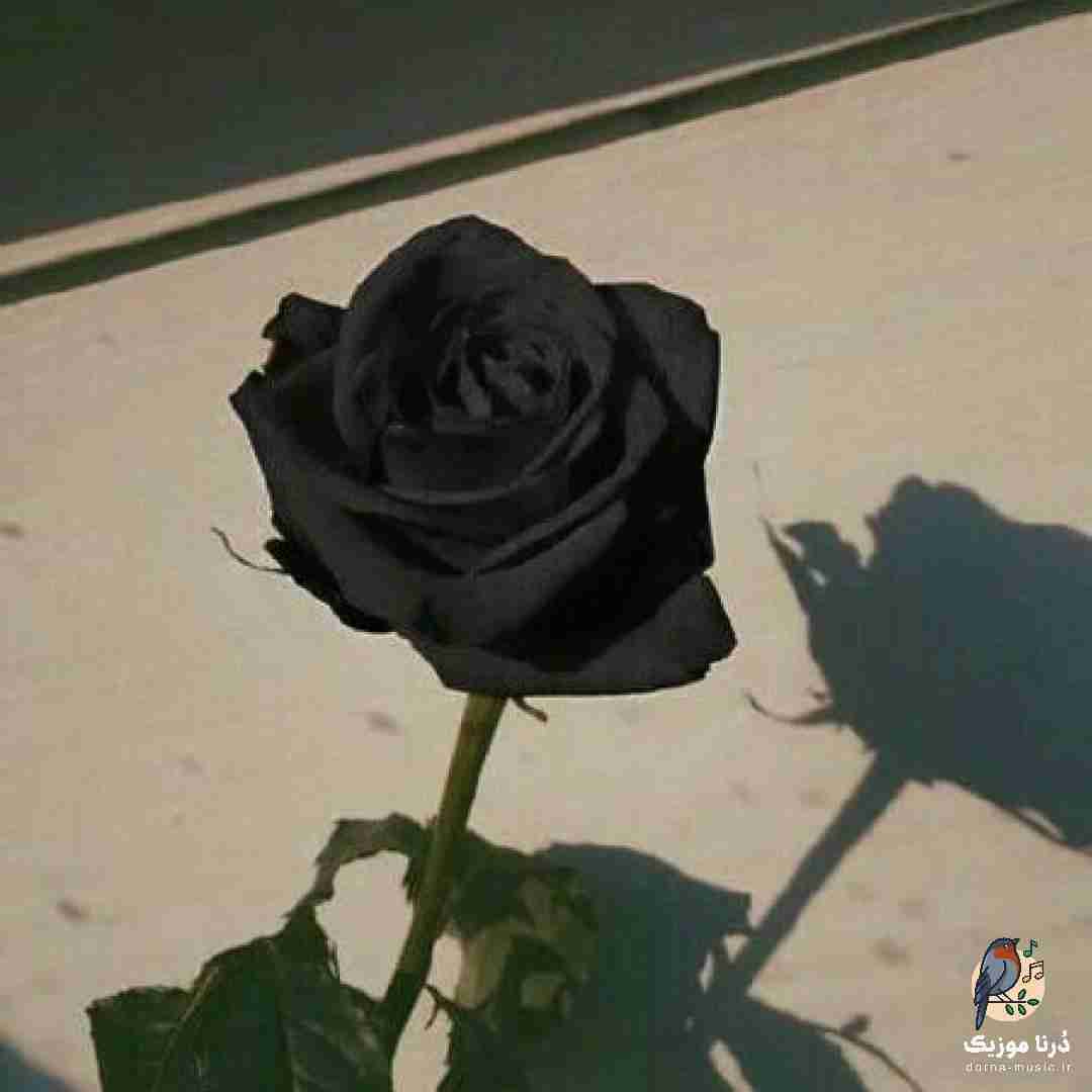  ماما این آدما صاف زدن تو دله بچت جا ته سیگارا
