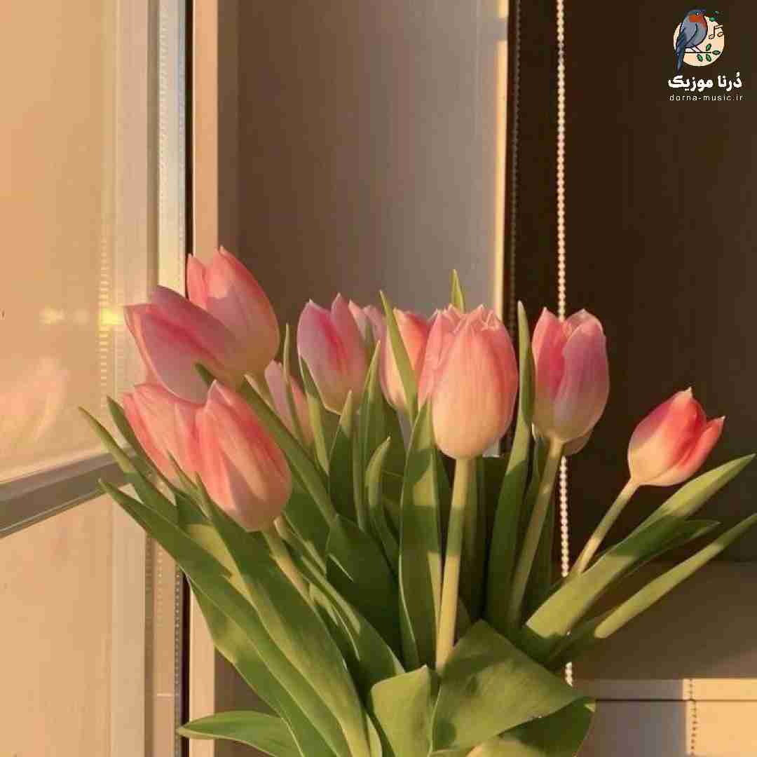منو چه به حال خوب چه سگ دویی که نزدم واسه پول