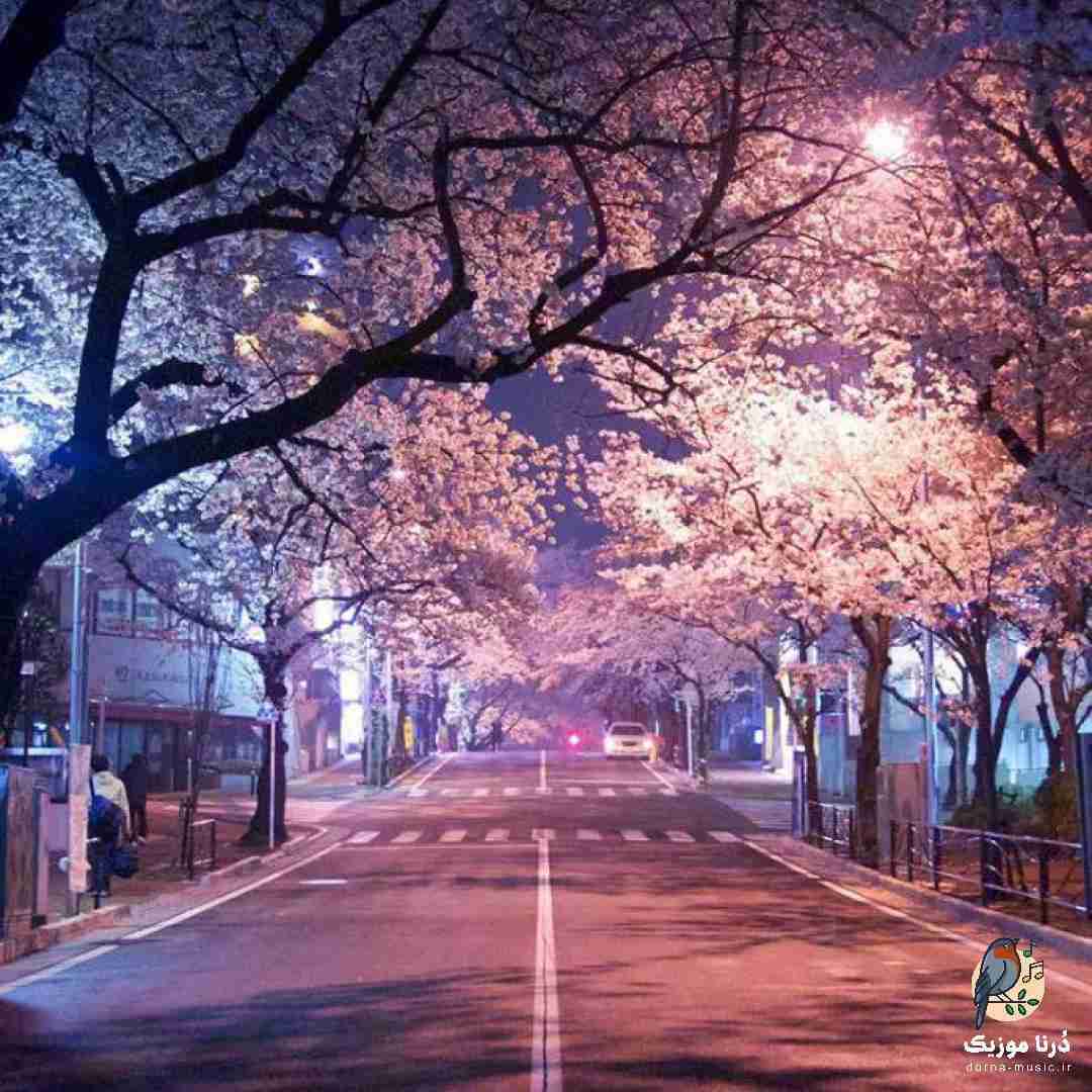 بهترین حس من با تو بودنه نباشی تنهایی حال و روزمه