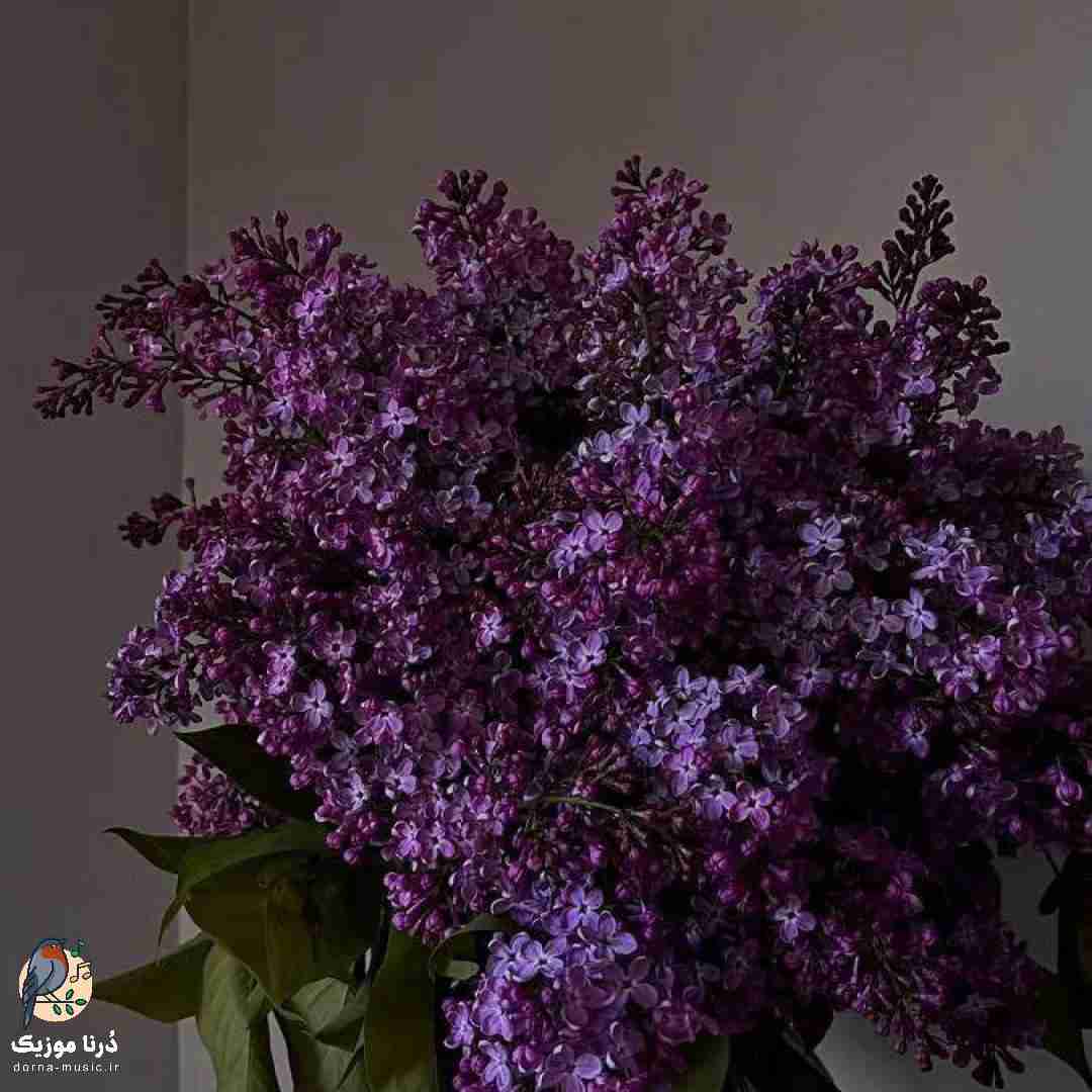 چشات بعد چشای مادرم زیباترین چشای دنیا بود