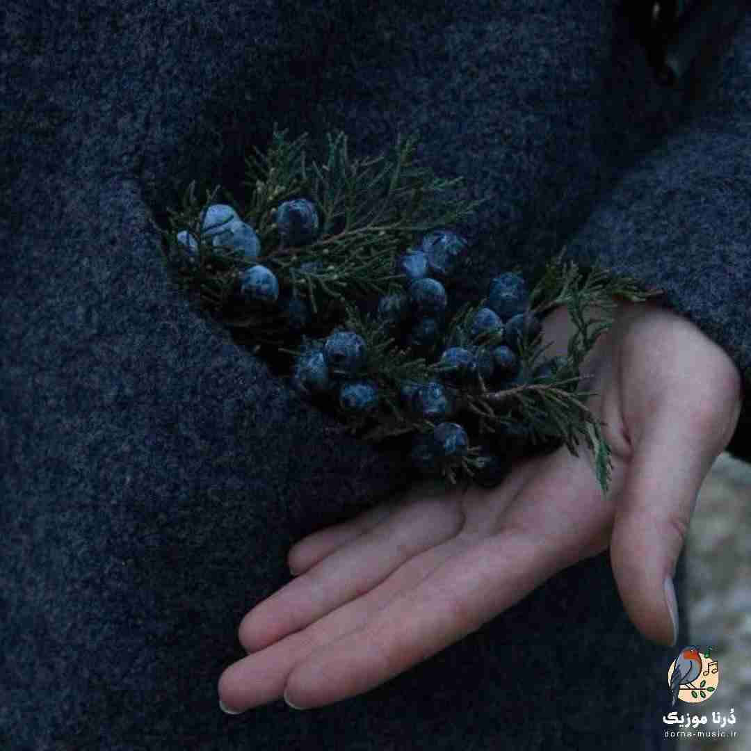  مثل جزیره وسط دریا هیشکی نمیدونه که من چقدر تنهام