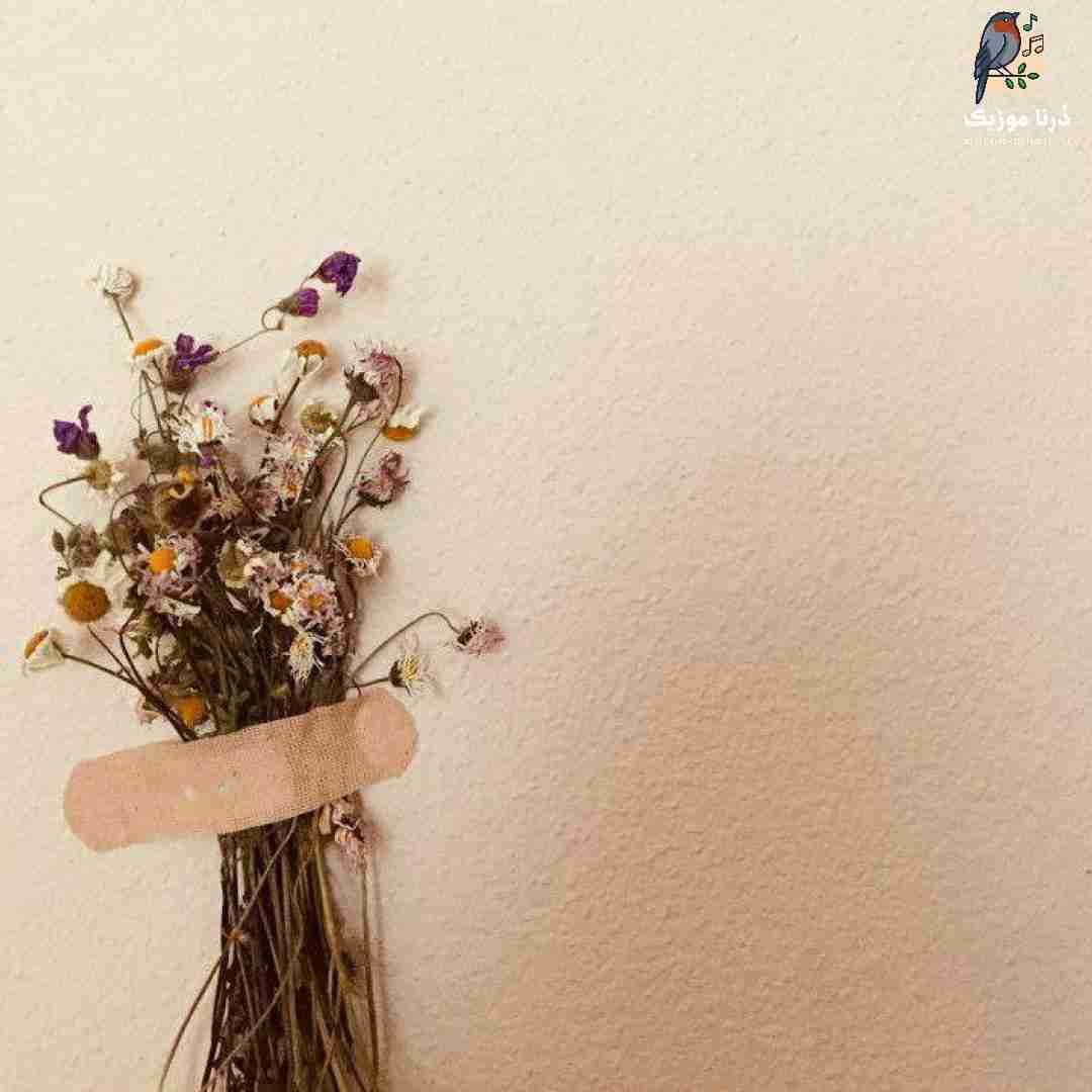 من میدونم که به تو عادت کردم وقتی نبودی دوزو رد کردم