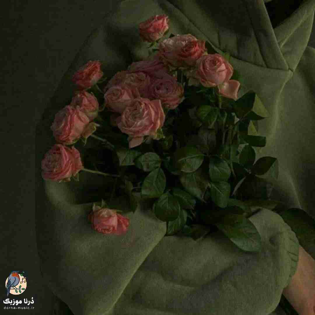 استوری میزاری عاشق چه کمیابه نمیبینی منو که نفست
