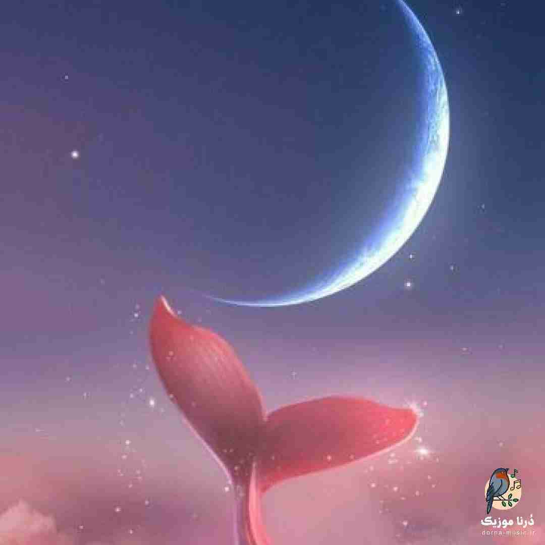  میخندم هر لحظه به دردم گرم میشم با نغمه سردم