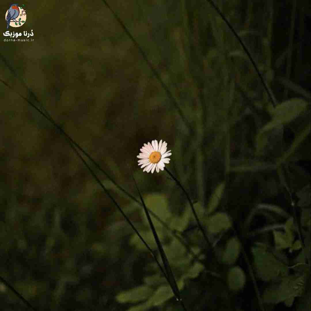 تو خیابونا پک و پاره کثیف کلاویه ان برا من