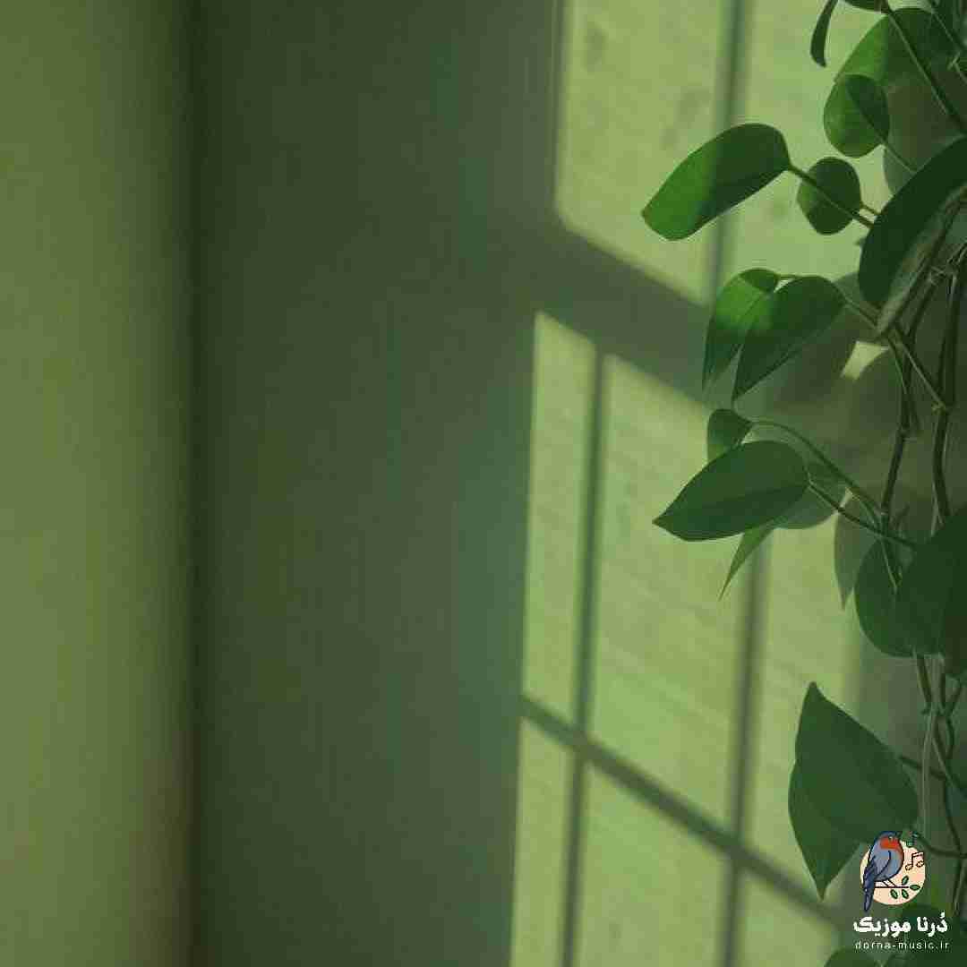 ننداز بام کورس چپ میکنید داف تورو با
