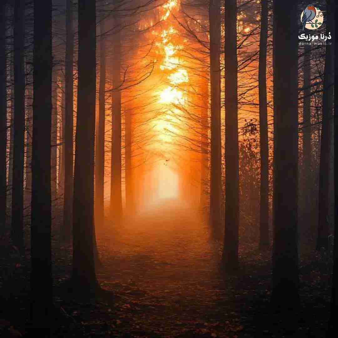  شاید دیدمت در آینده انقدر قرص نخور برات سمه